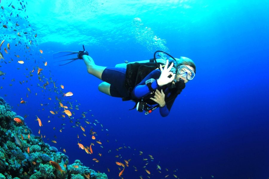 Scuba Diving at GOA