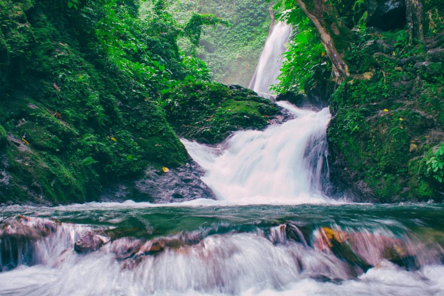 Dudh Sagar Waterfalls & Plantation Tour